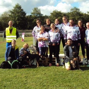 Cani-cross au Breuil en Auge